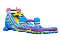 Happy Birthday Gift Inflatable Water Slide with Silk - screen Printing