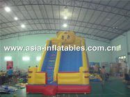 Customized Party Rental Slide In Tiger Desisn For Kids